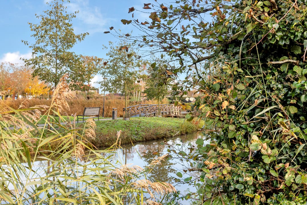 Foto 23 van Van Twillerstraat 8