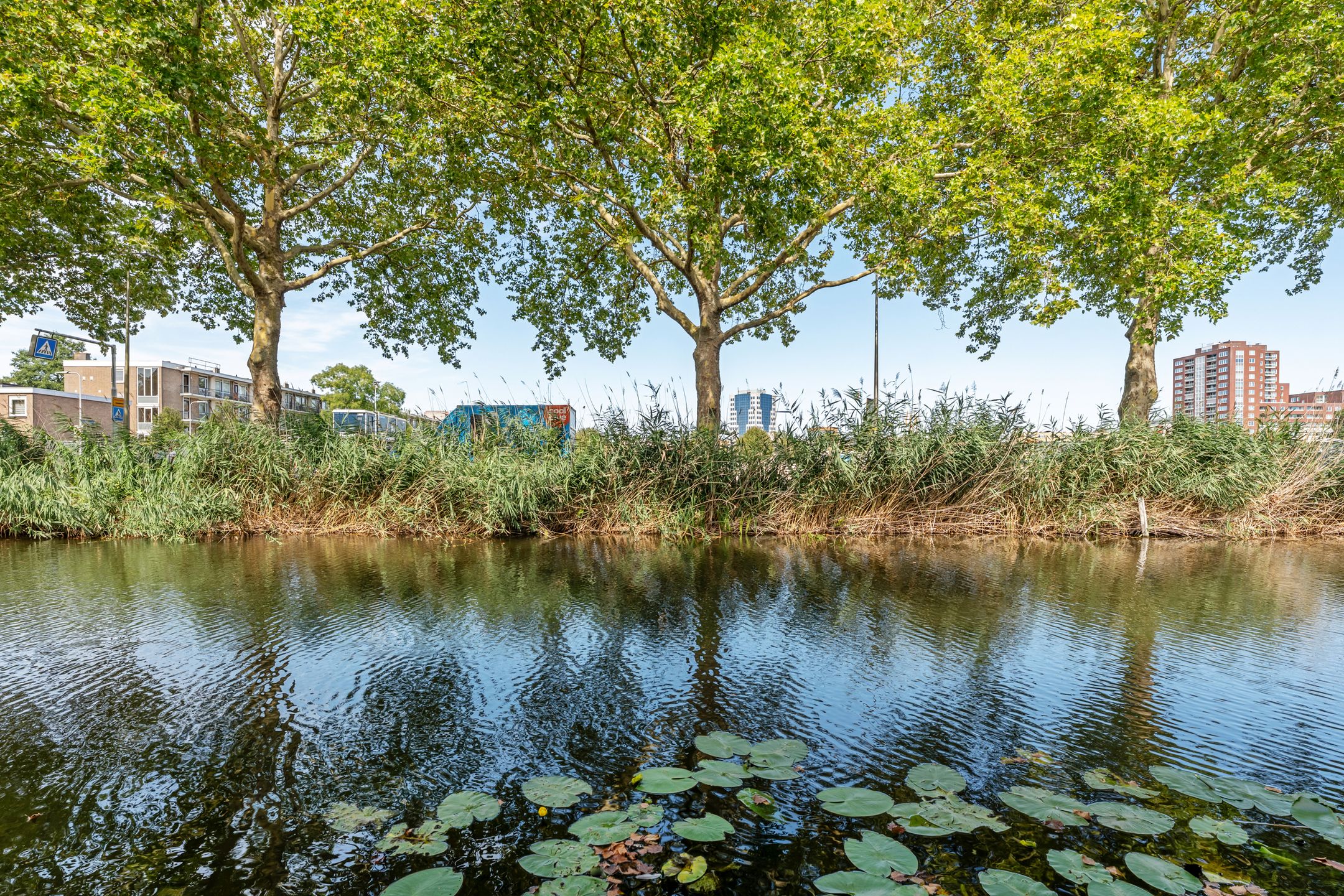 Foto 15 van Arica 123