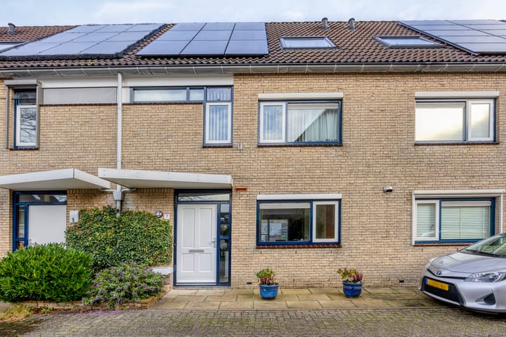 Foto 1 van Kroeskarper 7