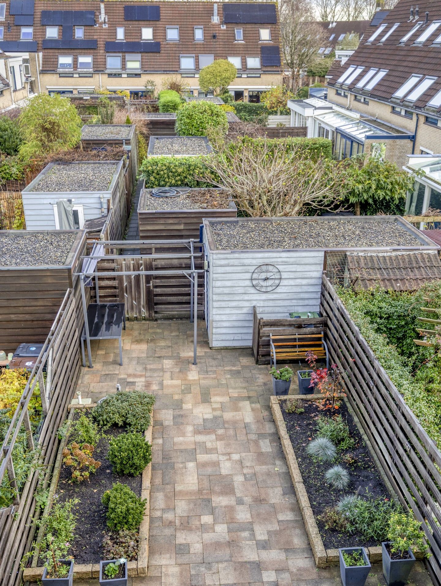 Photo 19 of Kroeskarper 7