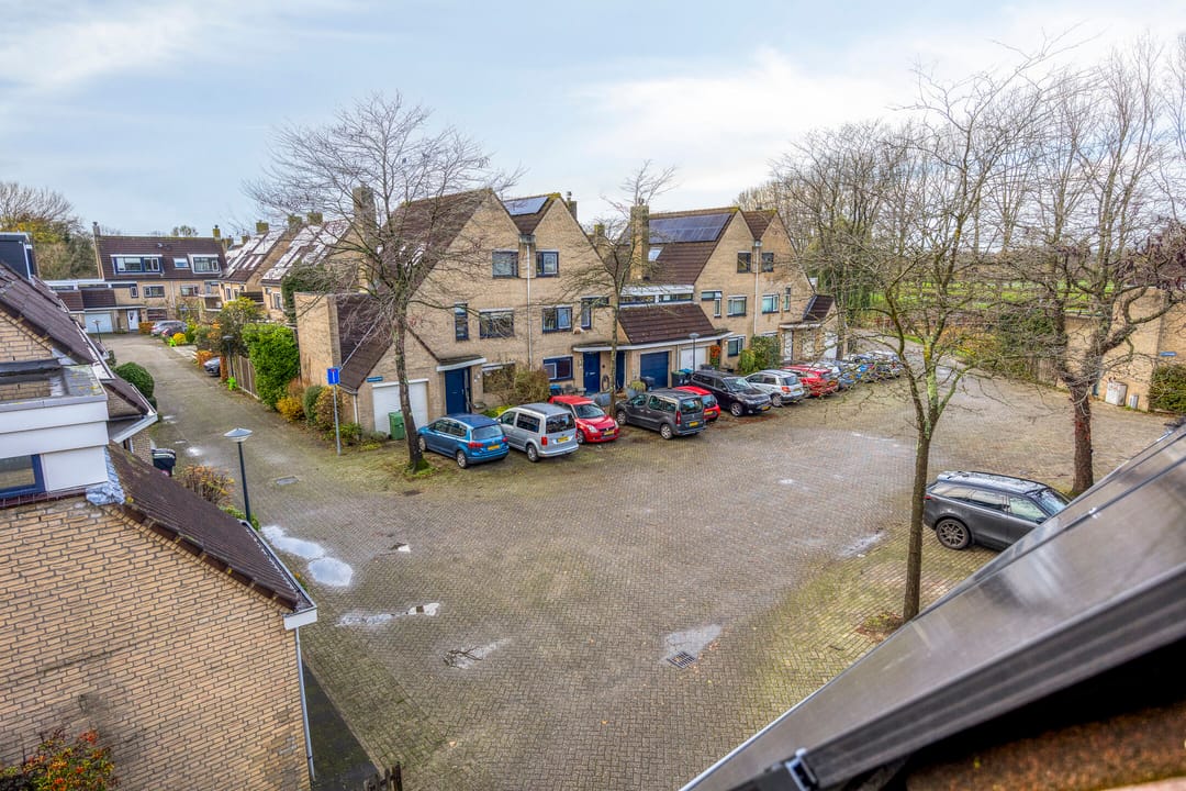 Photo 37 of Kroeskarper 7