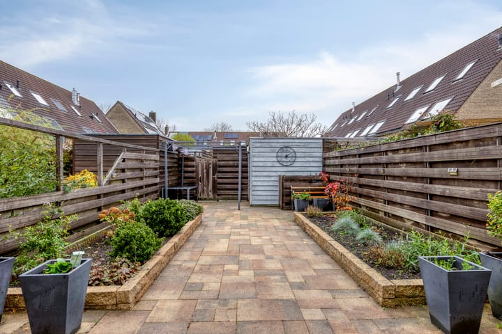 Foto 16 van Kroeskarper 7