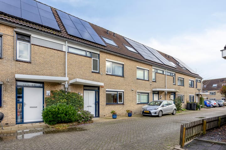 Foto 38 van Kroeskarper 7