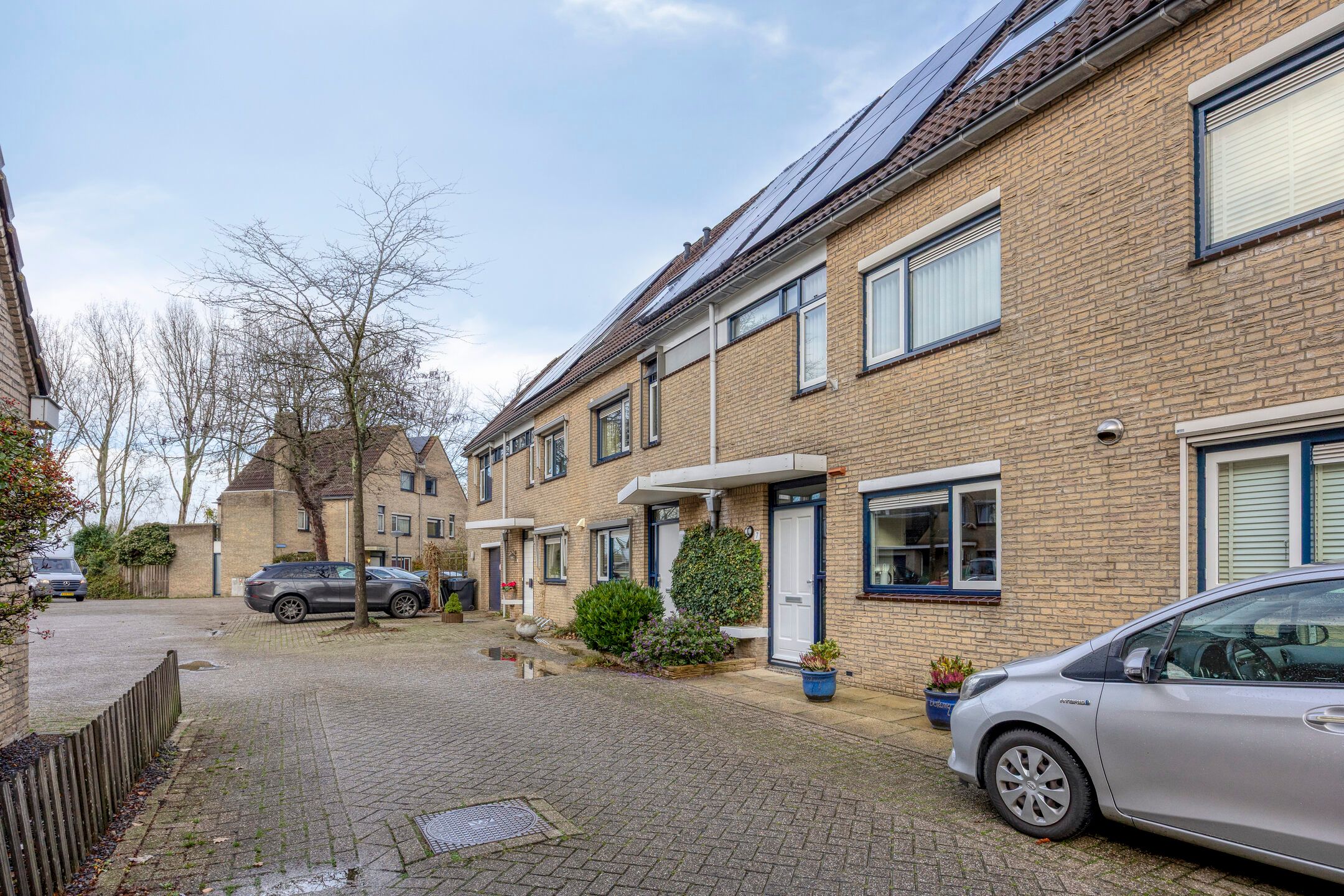 Photo 39 of Kroeskarper 7