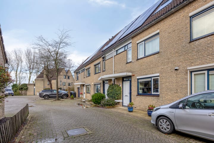 Foto 39 van Kroeskarper 7