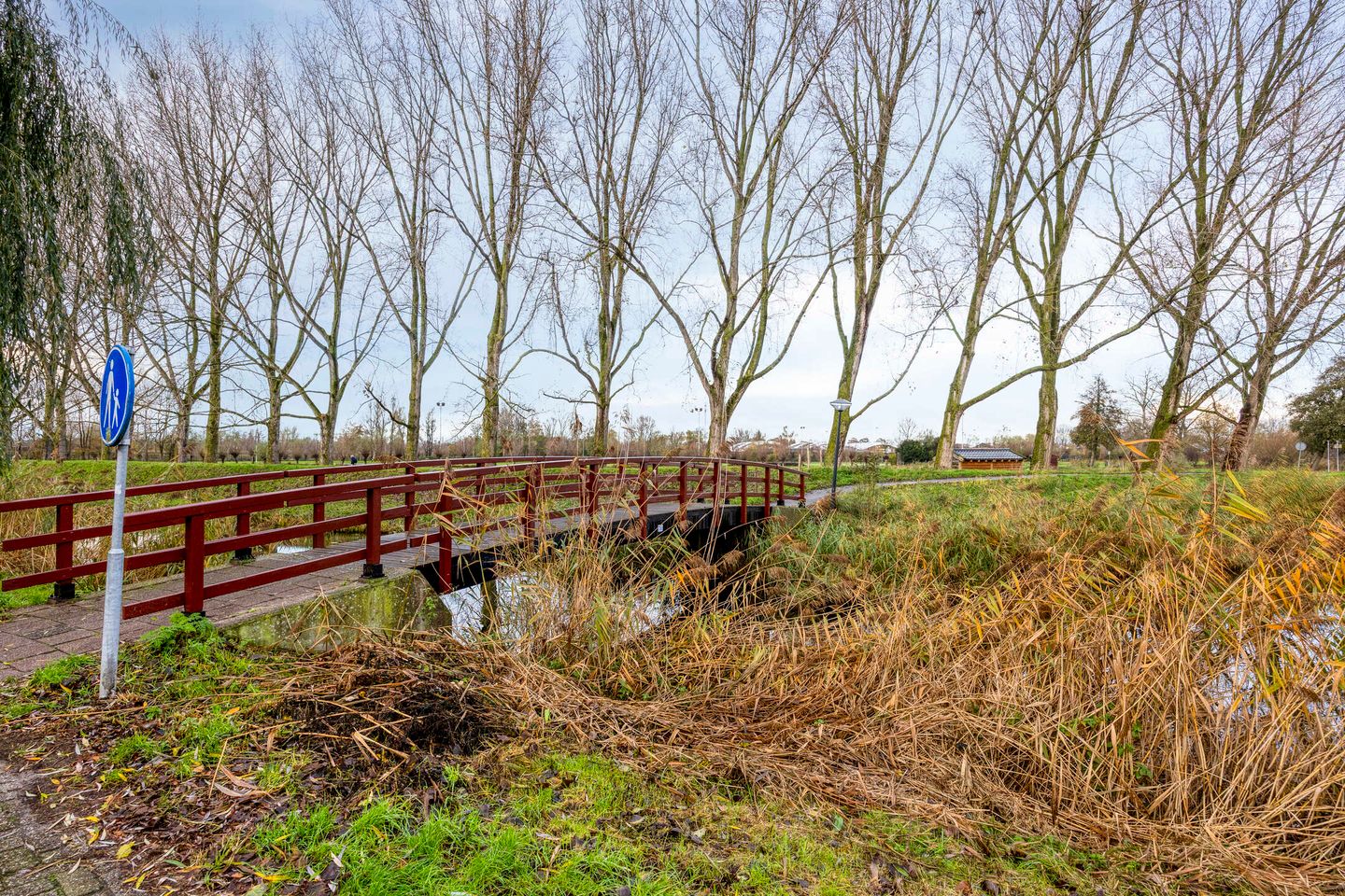 Photo 40 of Kroeskarper 7