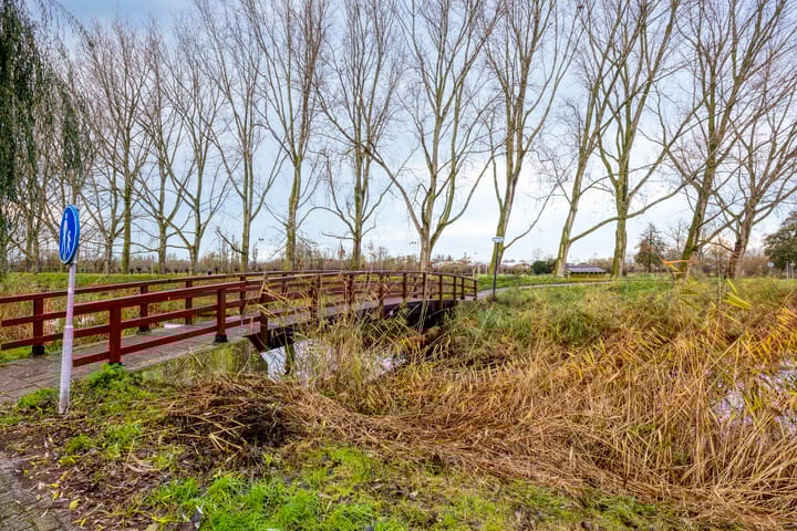 Foto 40 van Kroeskarper 7