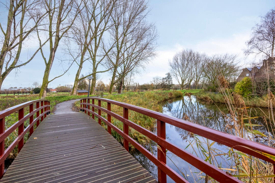 Photo 41 of Kroeskarper 7