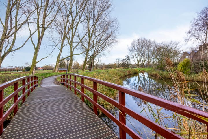 Foto 41 van Kroeskarper 7