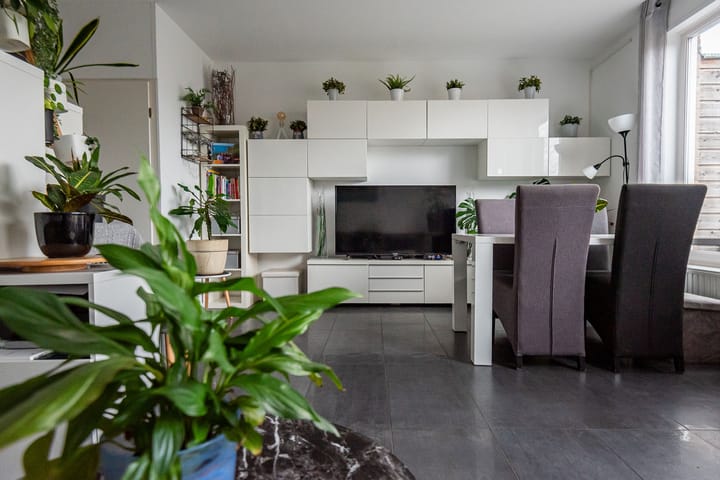 Photo 17 of Mezenpad 4