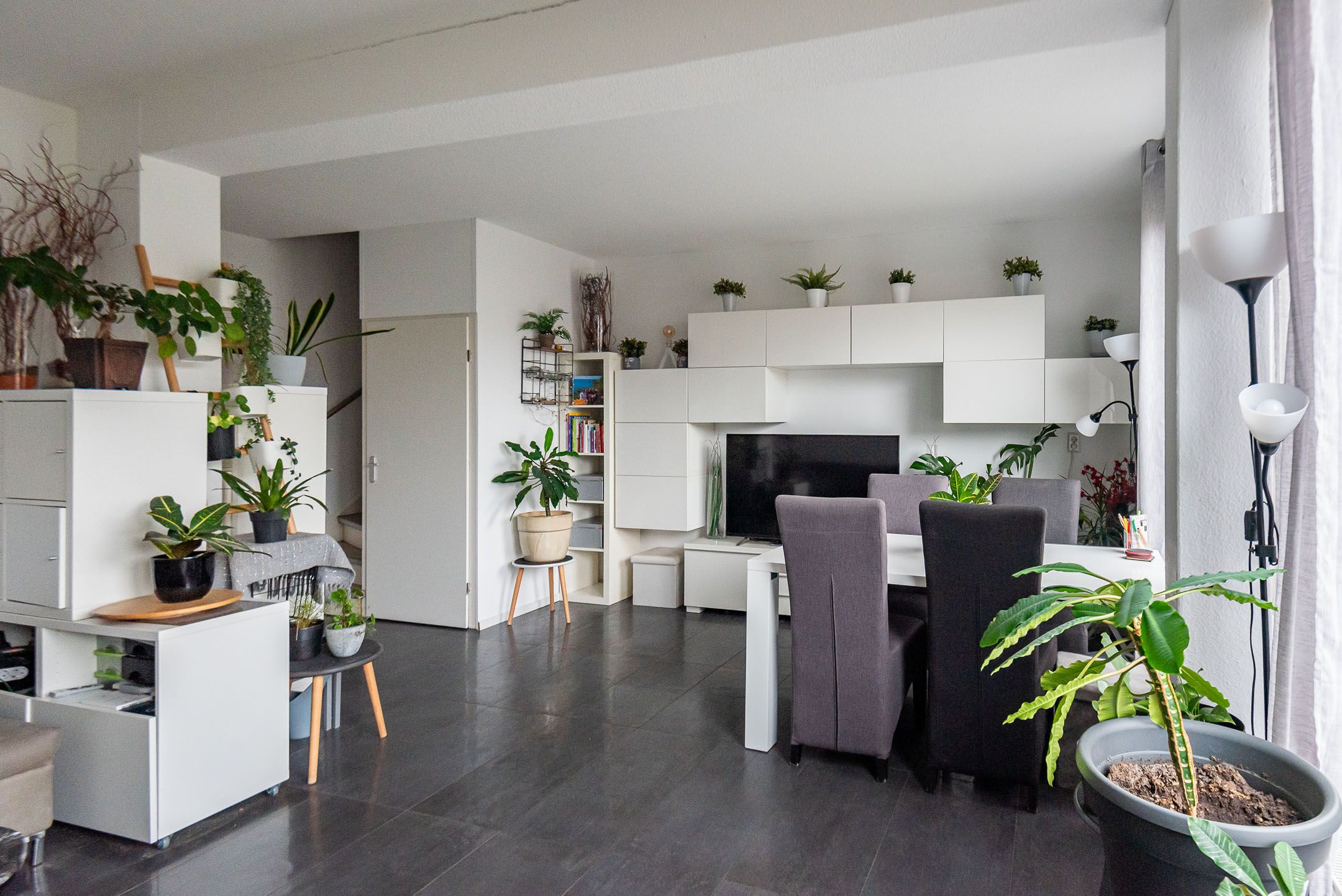 Foto 18 van Mezenpad 4