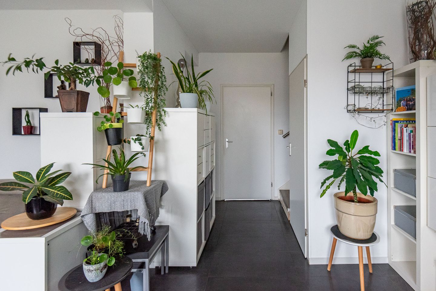 Foto 19 van Mezenpad 4