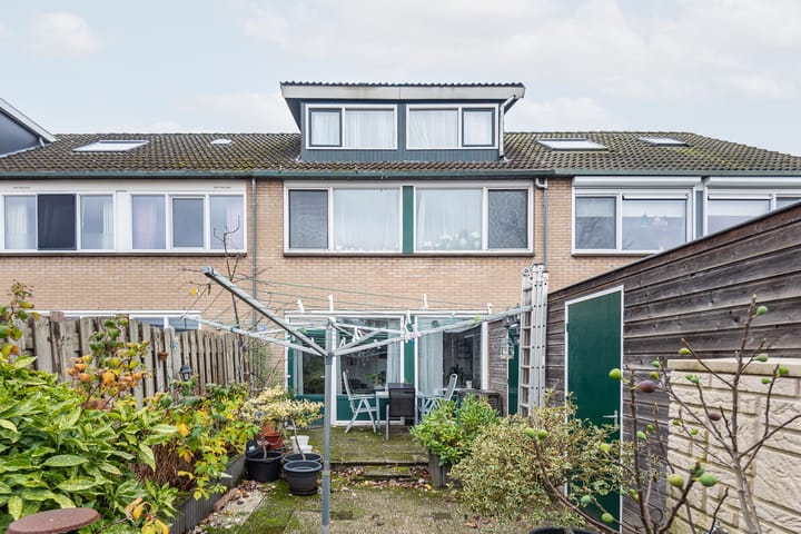 Photo 40 of Mezenpad 4