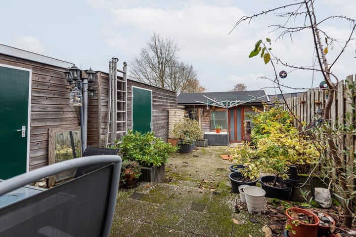 Photo 41 of Mezenpad 4