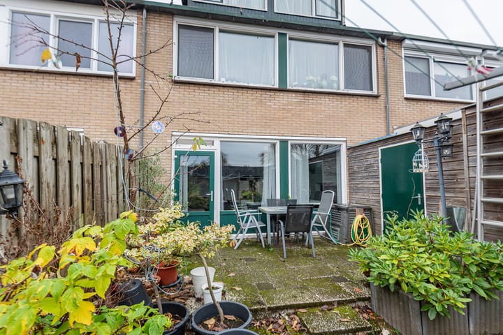 Photo 43 of Mezenpad 4