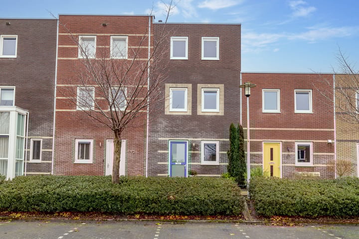 Foto 1 van Citroenvlinder 95