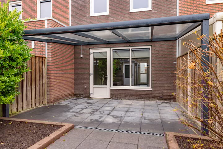 Foto 4 van Citroenvlinder 95