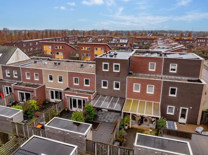 Foto 5 van Citroenvlinder 95