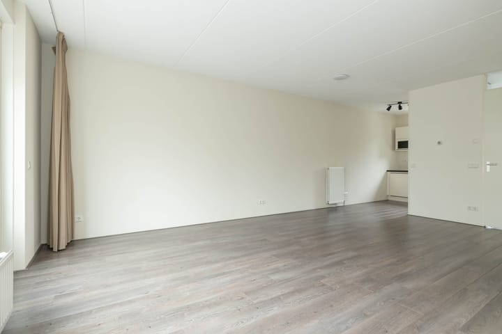 Foto 12 van Citroenvlinder 95