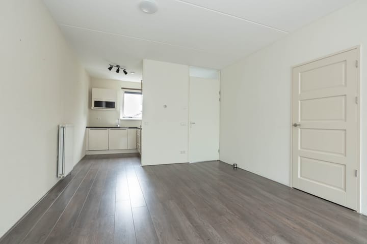 Foto 13 van Citroenvlinder 95