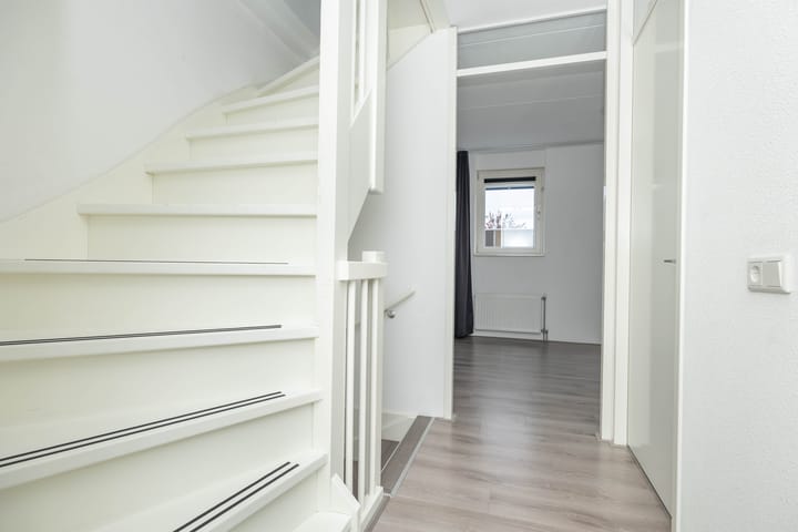 Foto 19 van Citroenvlinder 95