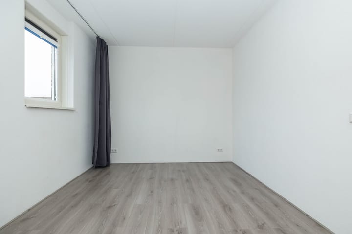 Foto 22 van Citroenvlinder 95