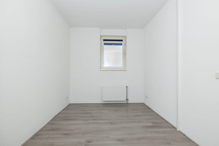 Foto 24 van Citroenvlinder 95