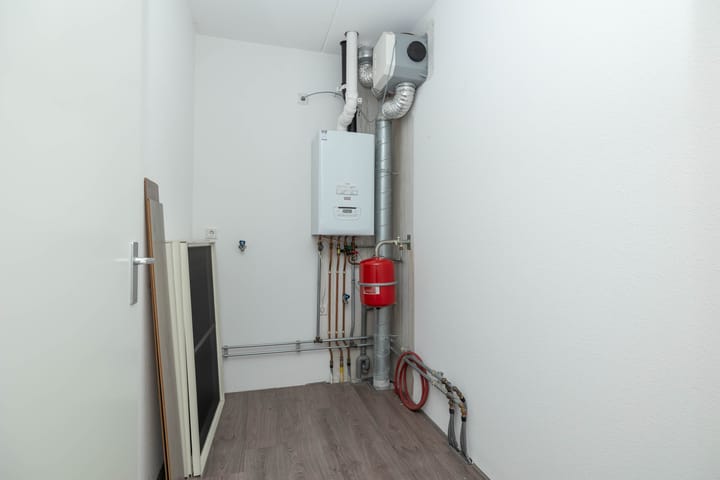 Foto 29 van Citroenvlinder 95