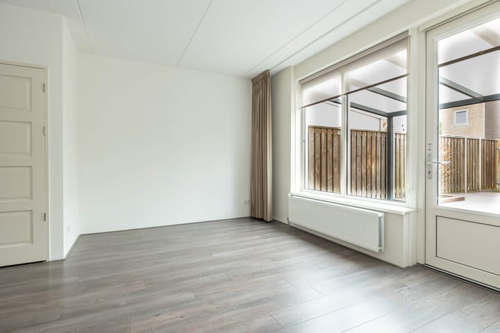 Foto 11 van Citroenvlinder 95