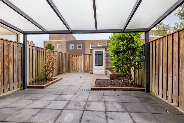 Foto 39 van Citroenvlinder 95