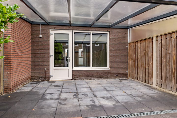 Foto 40 van Citroenvlinder 95