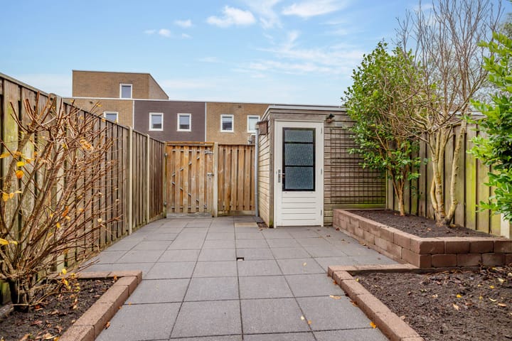 Foto 41 van Citroenvlinder 95