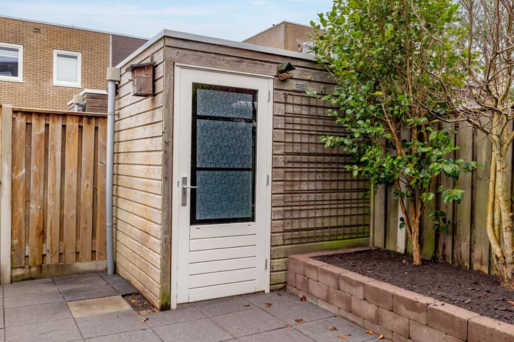 Foto 42 van Citroenvlinder 95