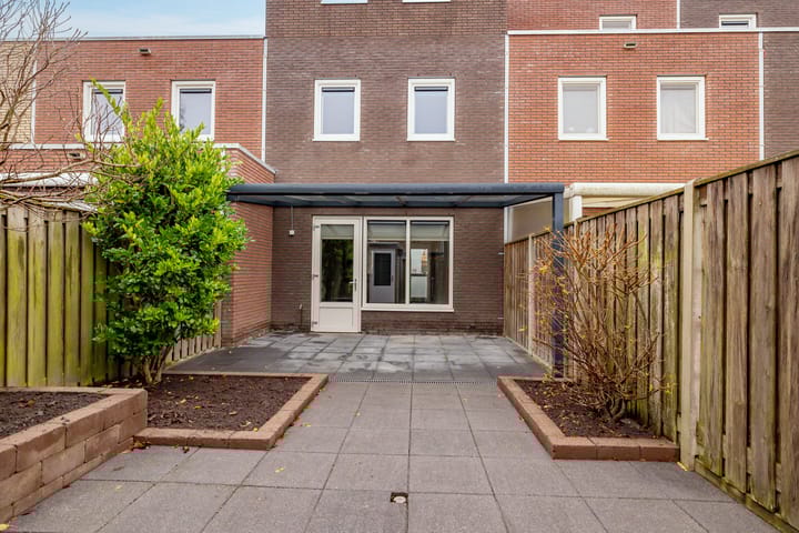 Foto 43 van Citroenvlinder 95