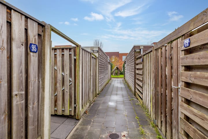 Foto 44 van Citroenvlinder 95