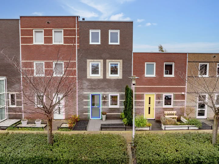 Foto 45 van Citroenvlinder 95