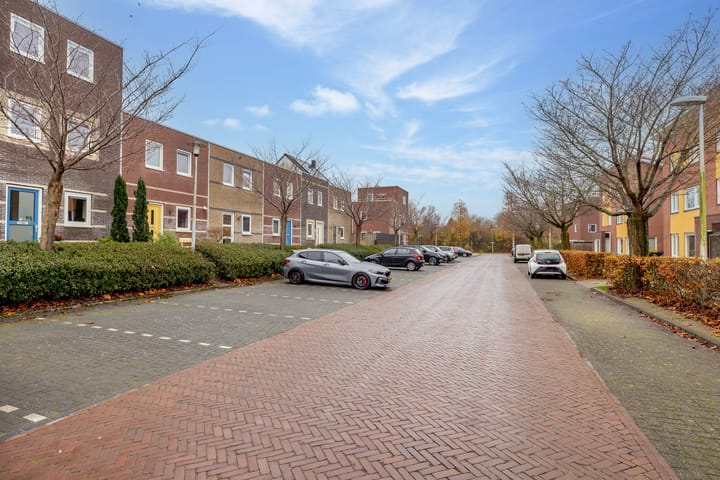 Foto 46 van Citroenvlinder 95