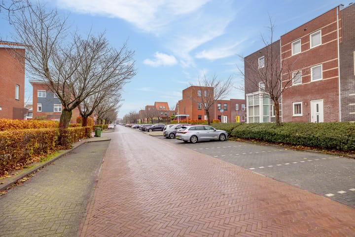 Foto 47 van Citroenvlinder 95