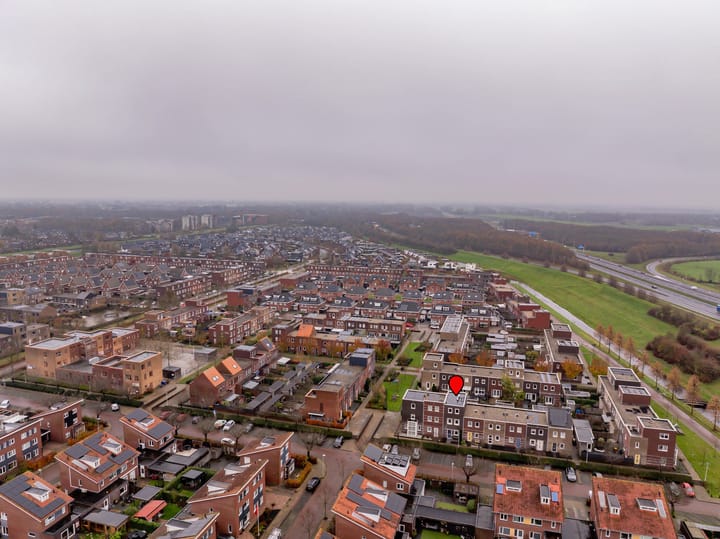 Foto 48 van Citroenvlinder 95