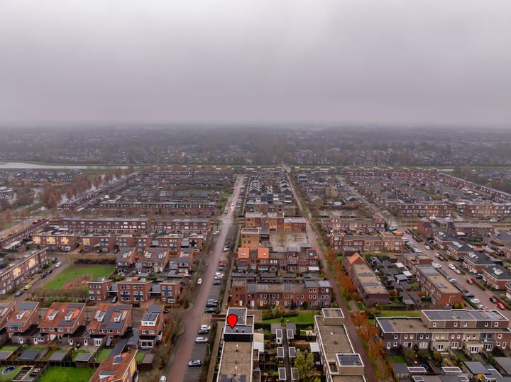 Foto 49 van Citroenvlinder 95