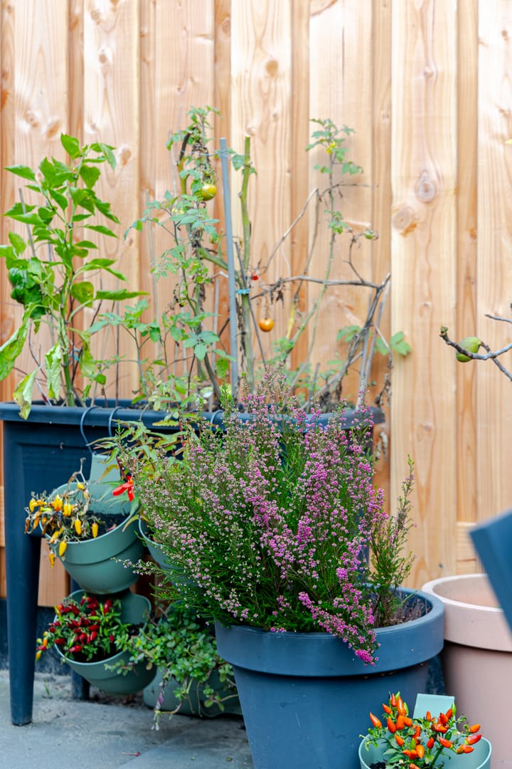 Photo 29 of Troelstrastraat 15