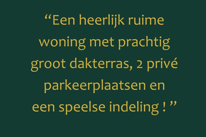 Foto 6 van Olijfhout 18