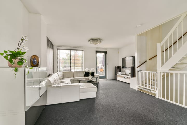 Foto 18 van Olijfhout 18