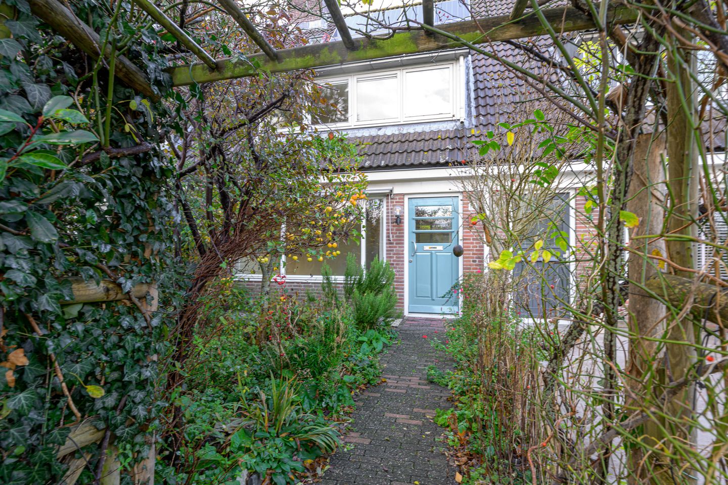 Foto 4 van Dommelstraat 16