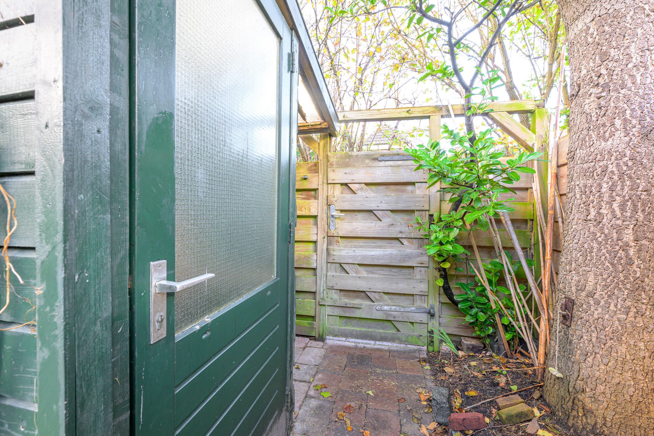 Foto 15 van Dommelstraat 16