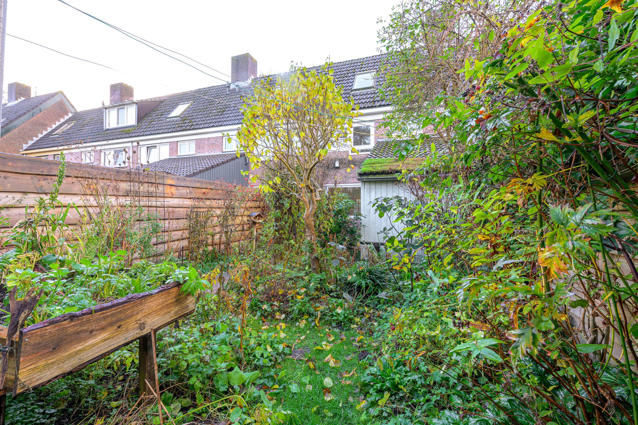 Foto 18 van Dommelstraat 16