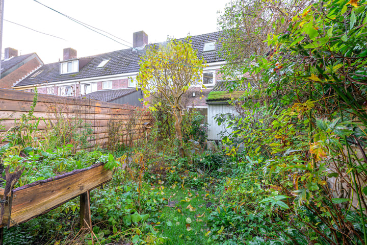 Photo 18 of Dommelstraat 16