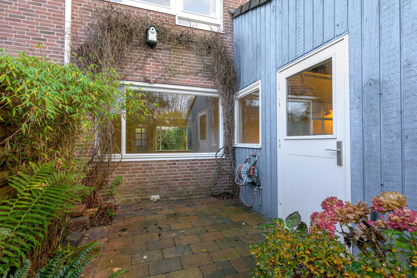 Foto 19 van Dommelstraat 16