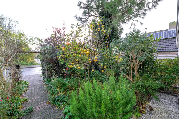 Photo 35 of Dommelstraat 16