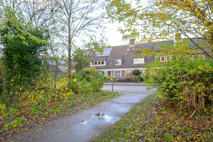 Photo 38 of Dommelstraat 16